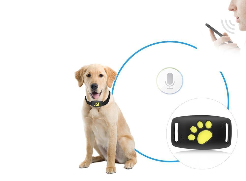 GPS Volgsysteem voor Katten en honden met Real-Time Locatieupdates – Compact en Lichtgewicht