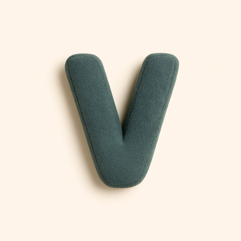 Letterkussen | Woonkamer