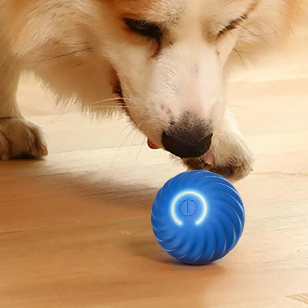 Automatische Rollende Speelbal voor Honden en Katten – USB-oplaadbaar, Slimme Modi, Veilig en Duurzaam, 10 cm Diameter