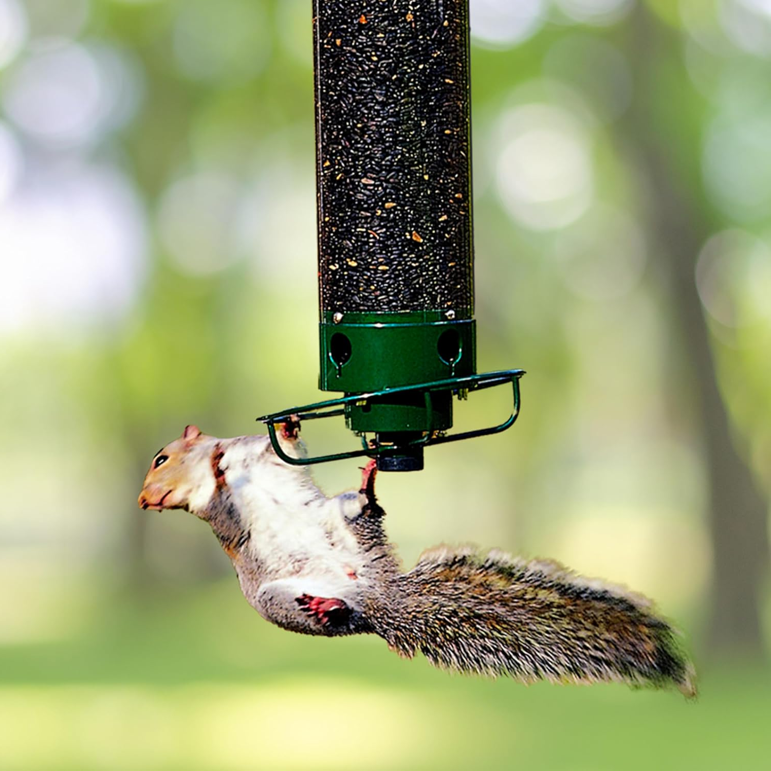 Eekhoornbestendige Vogelvoeder met Grote Capaciteit en Weerbestendige Constructie – Ideaal voor Tuinvogels