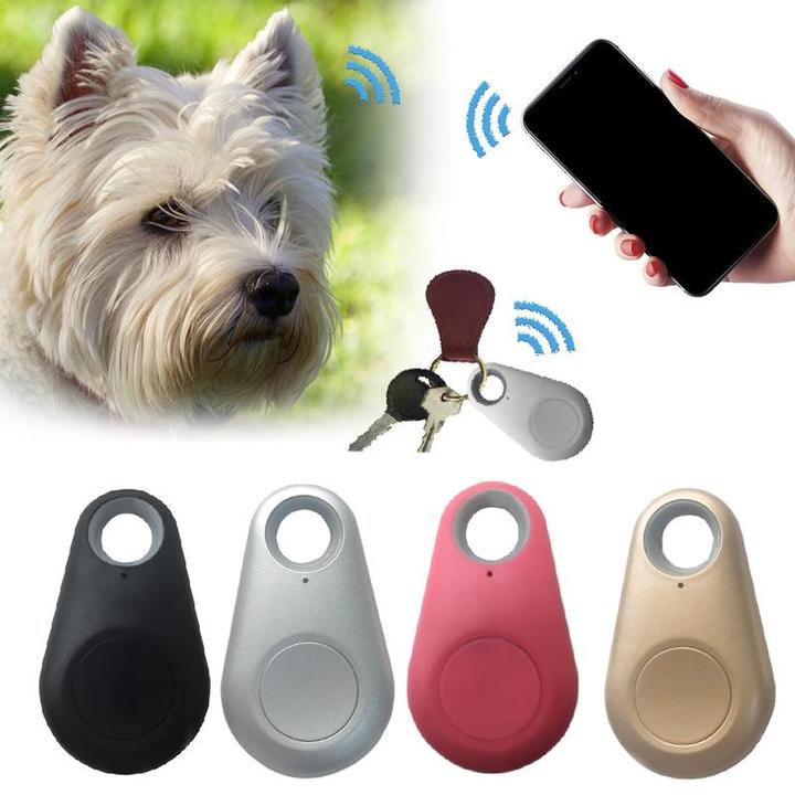 Mini GPS Tracker voor Honden - Waterdichte Real-time Tracking met Lange Batterijduur