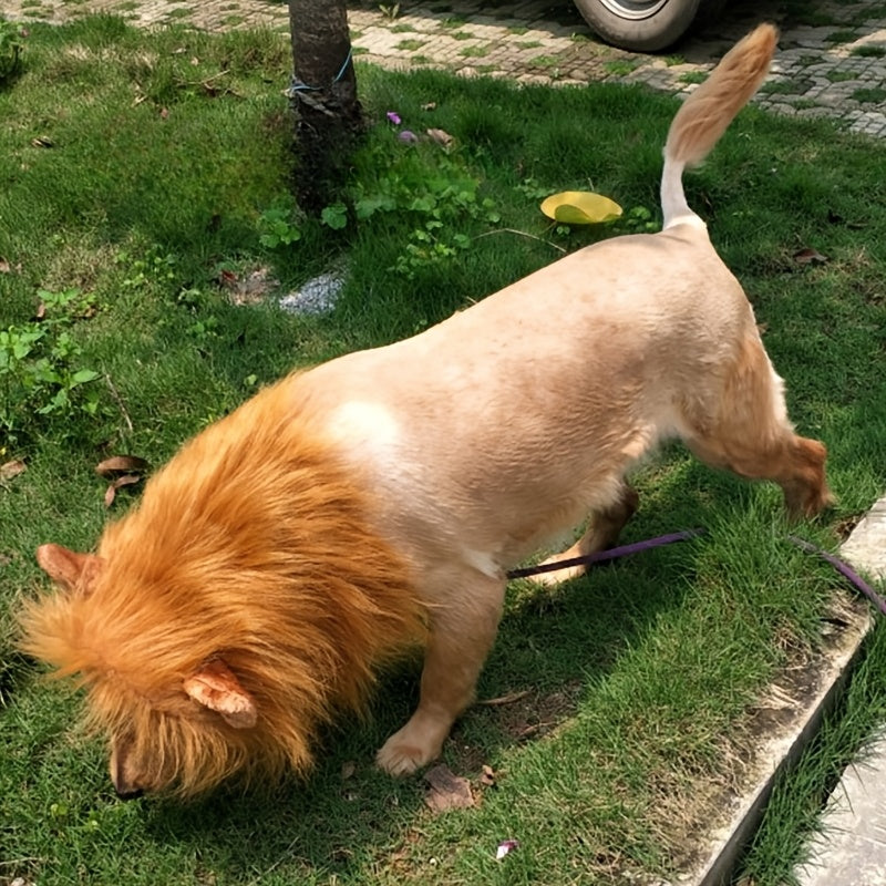 Realistische leeuwenkap voor honden - Verstelbaar zacht kostuum voor Halloween en feestelijke gelegenheden